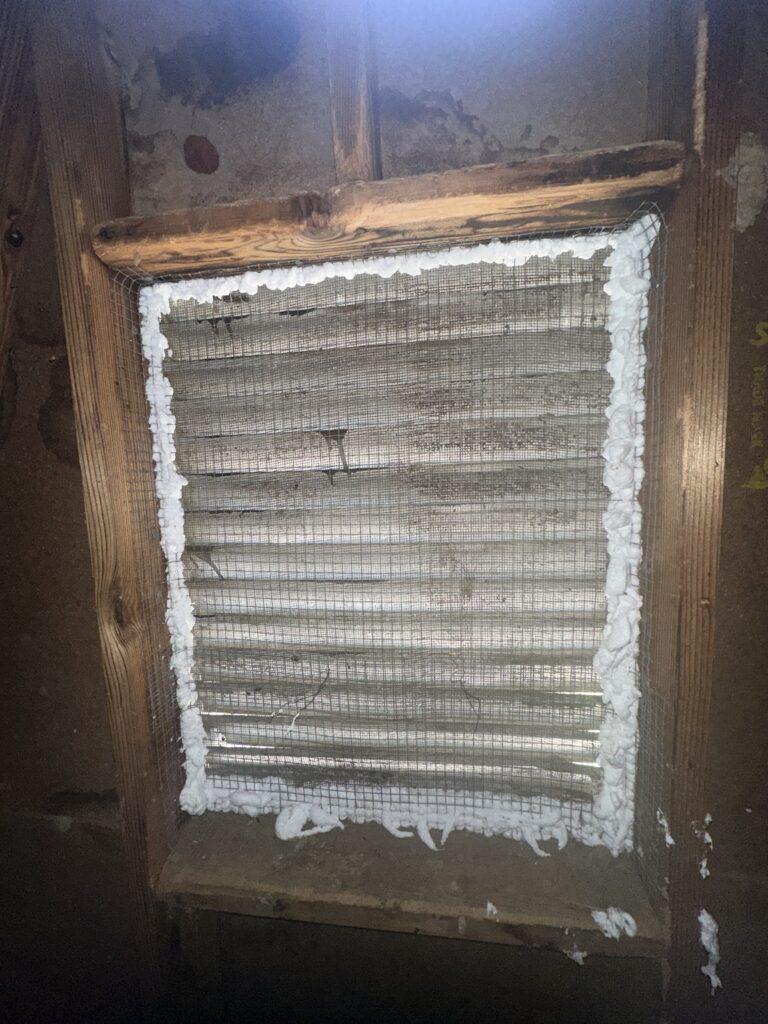 Interior view of an attic in Knoxville showing structural wood rot and water stains on sheathing caused by failing exterior siding and rodent entry points.