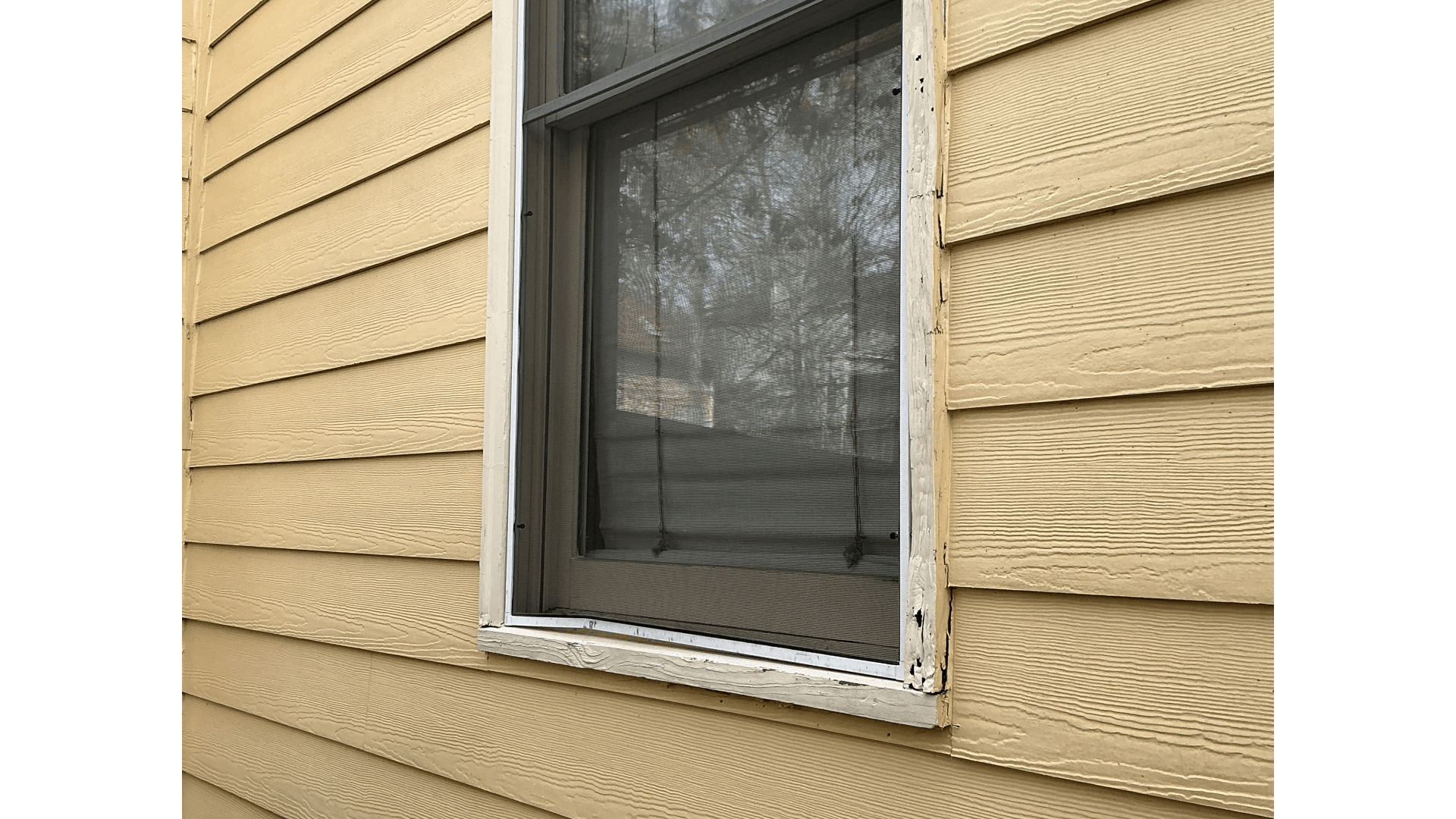Expert Window  Services in Jefferson City, TN: Boost Home Efficiency