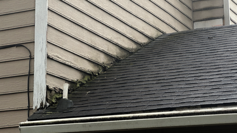 Visual evidence of water intrusion and moisture damage behind loose exterior siding.