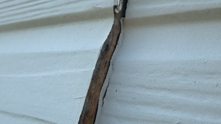 Visual evidence of water intrusion and moisture damage behind loose exterior siding.