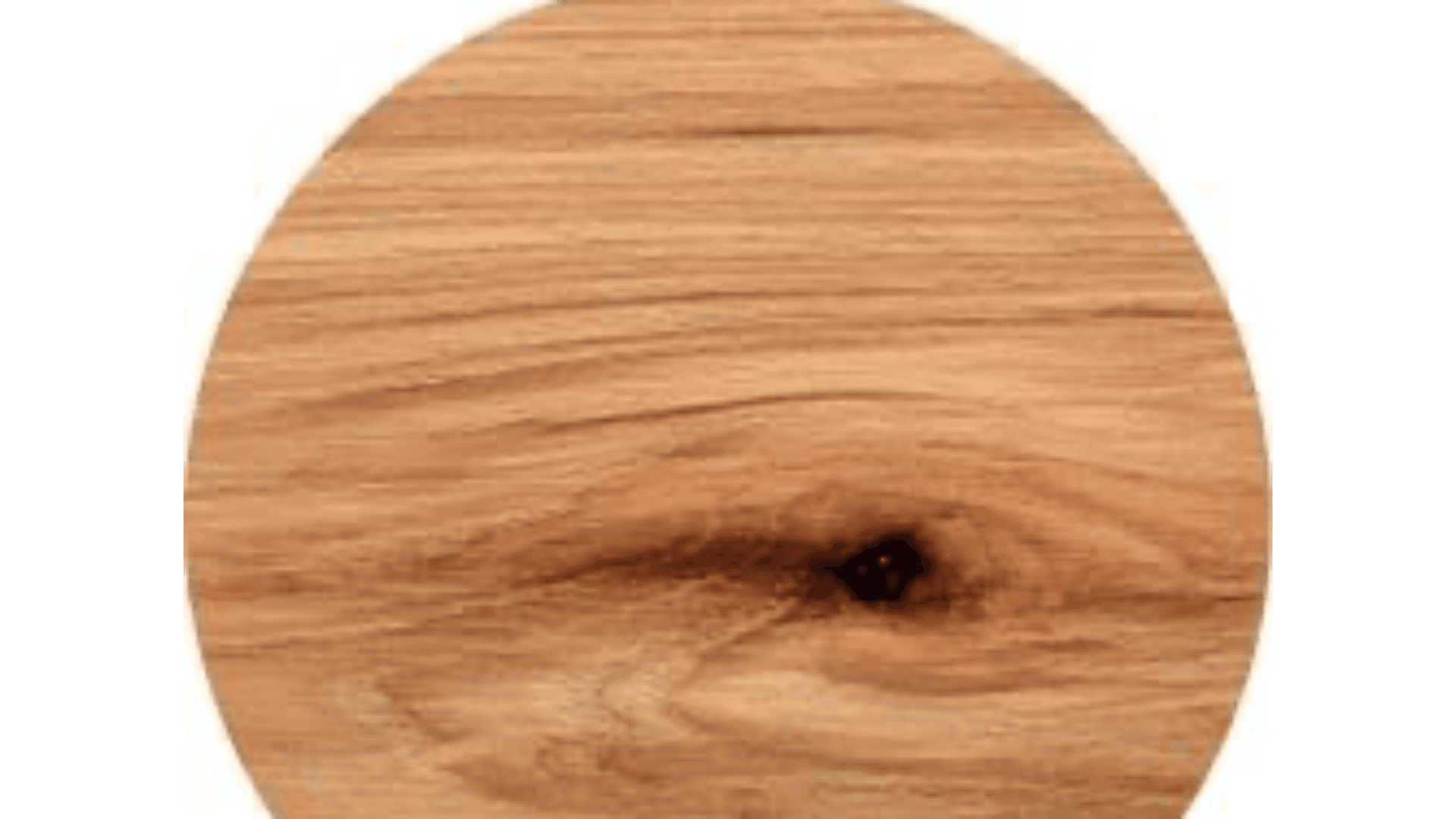 TruLog offers several profile directions, and each one creates a very
