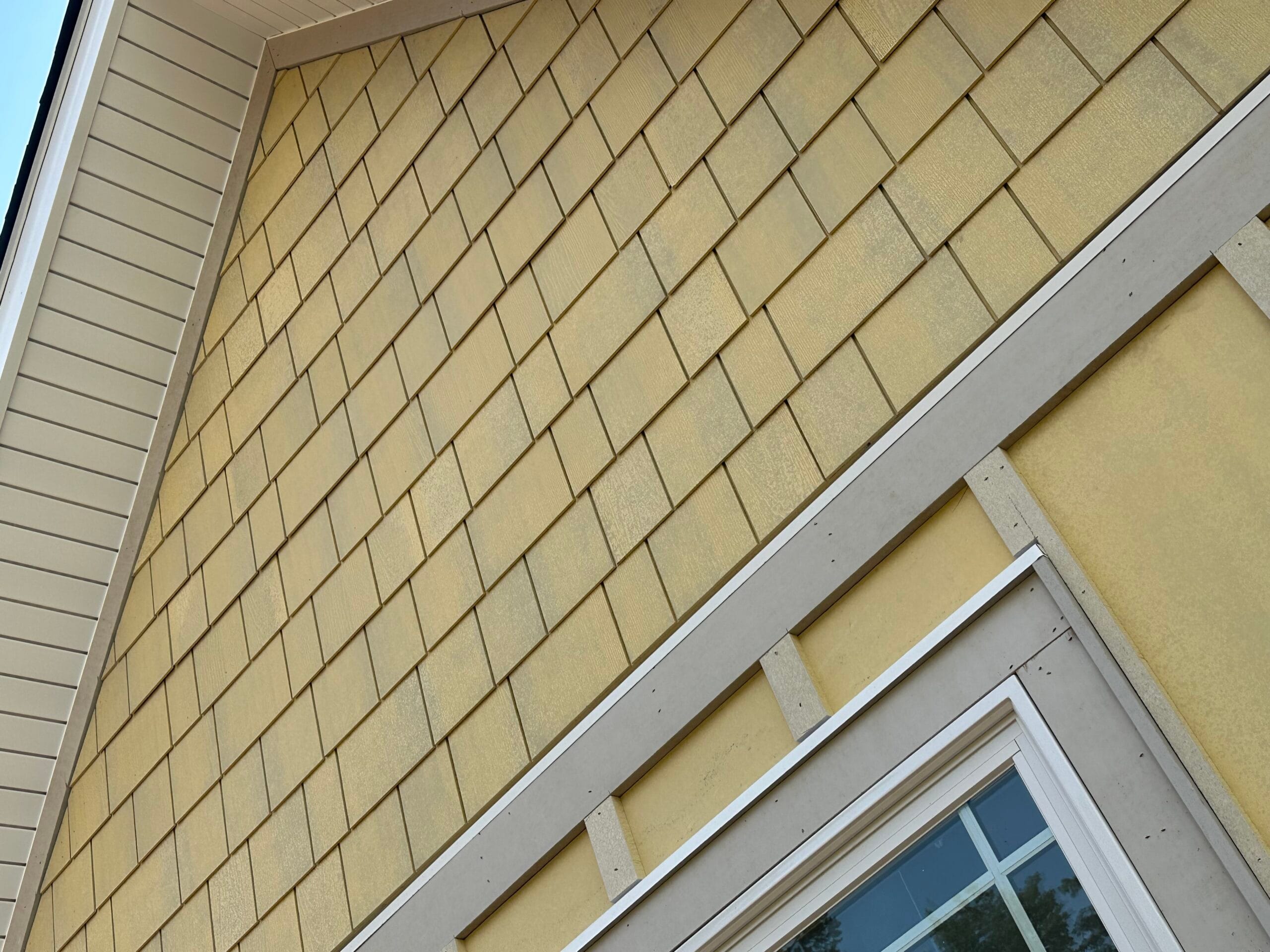 Common Siding Problems in Newport