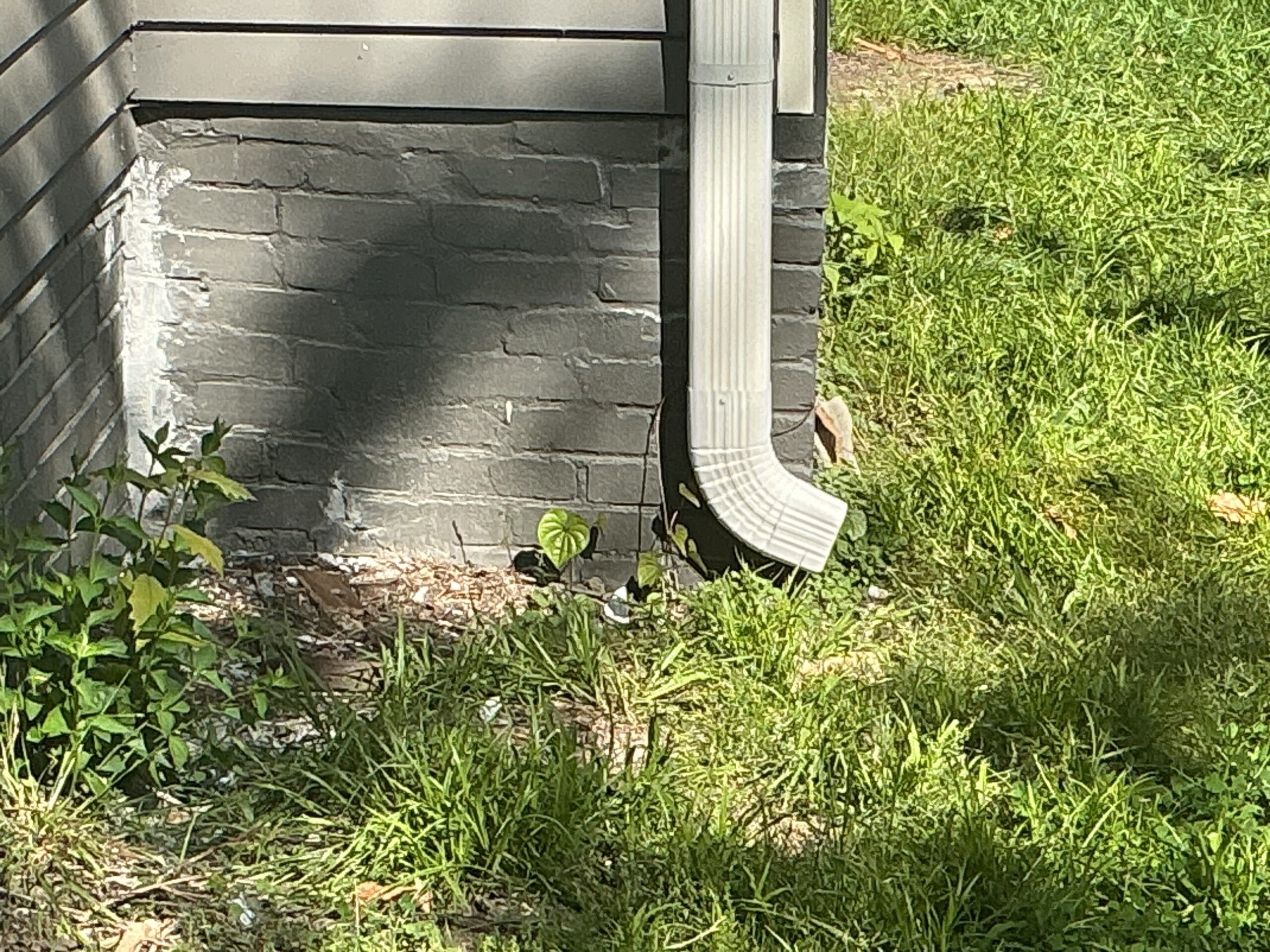 Gutter Installation & Repair Services — Norris, TN