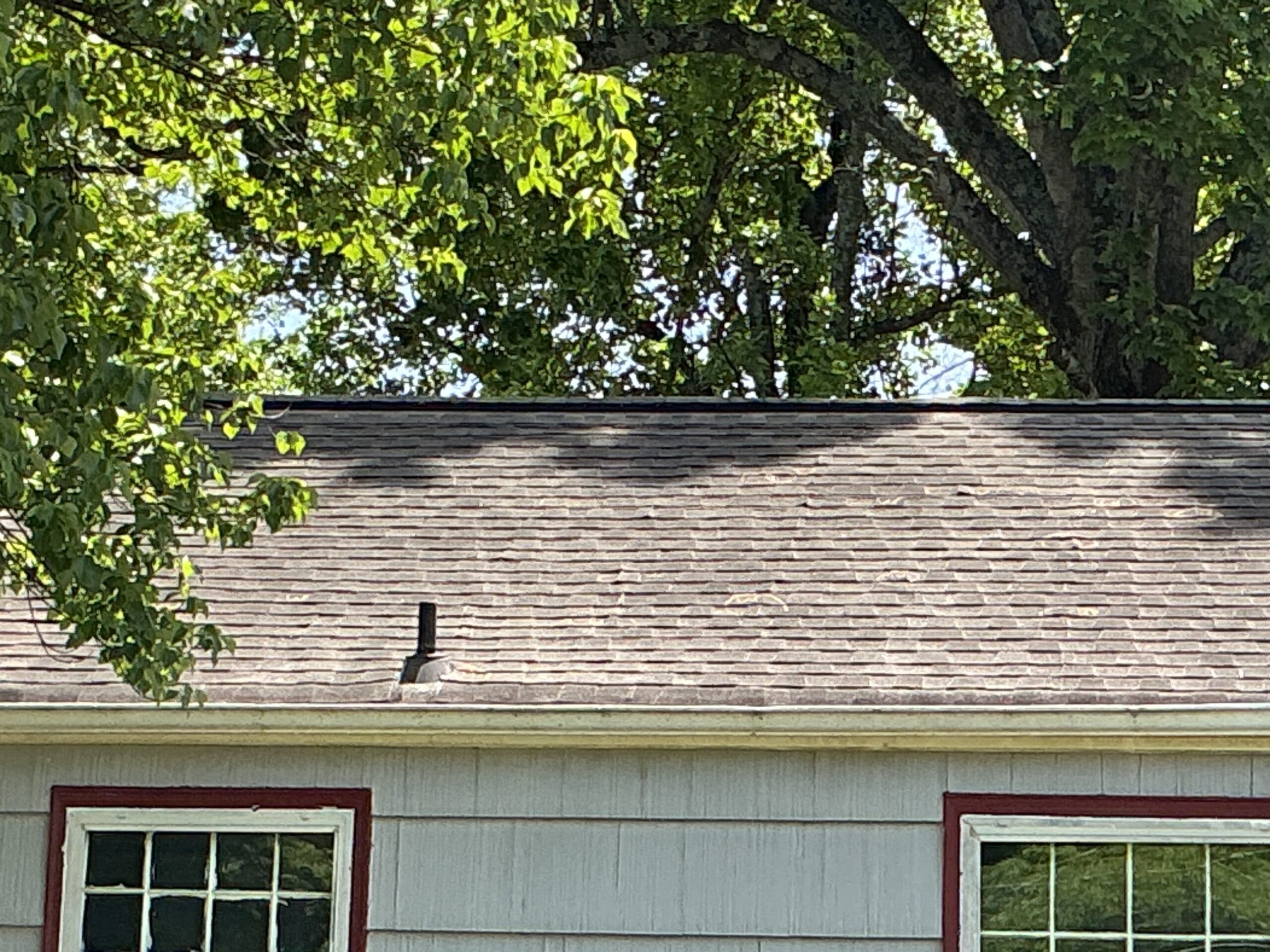 Wind damage is specific — lifted or missing shingles, displaced ridge