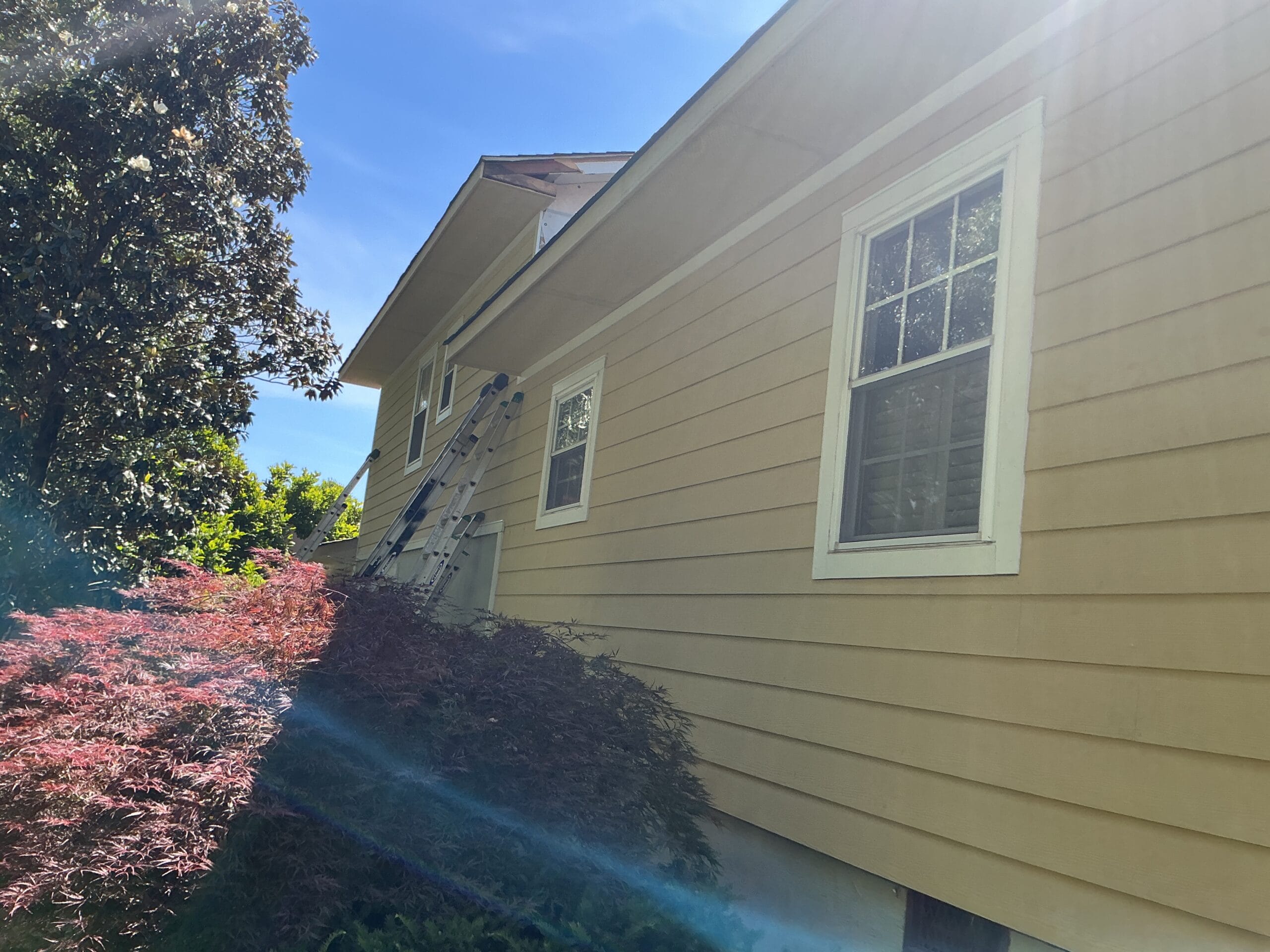 Serving Sevierville & Nearby