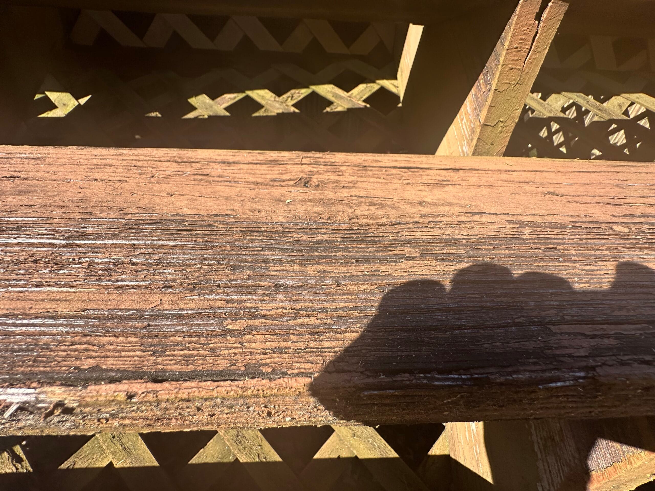 Proactive & Affordable Deck Maintenance Services in Norris, TN: Extend Your Deck’s Life