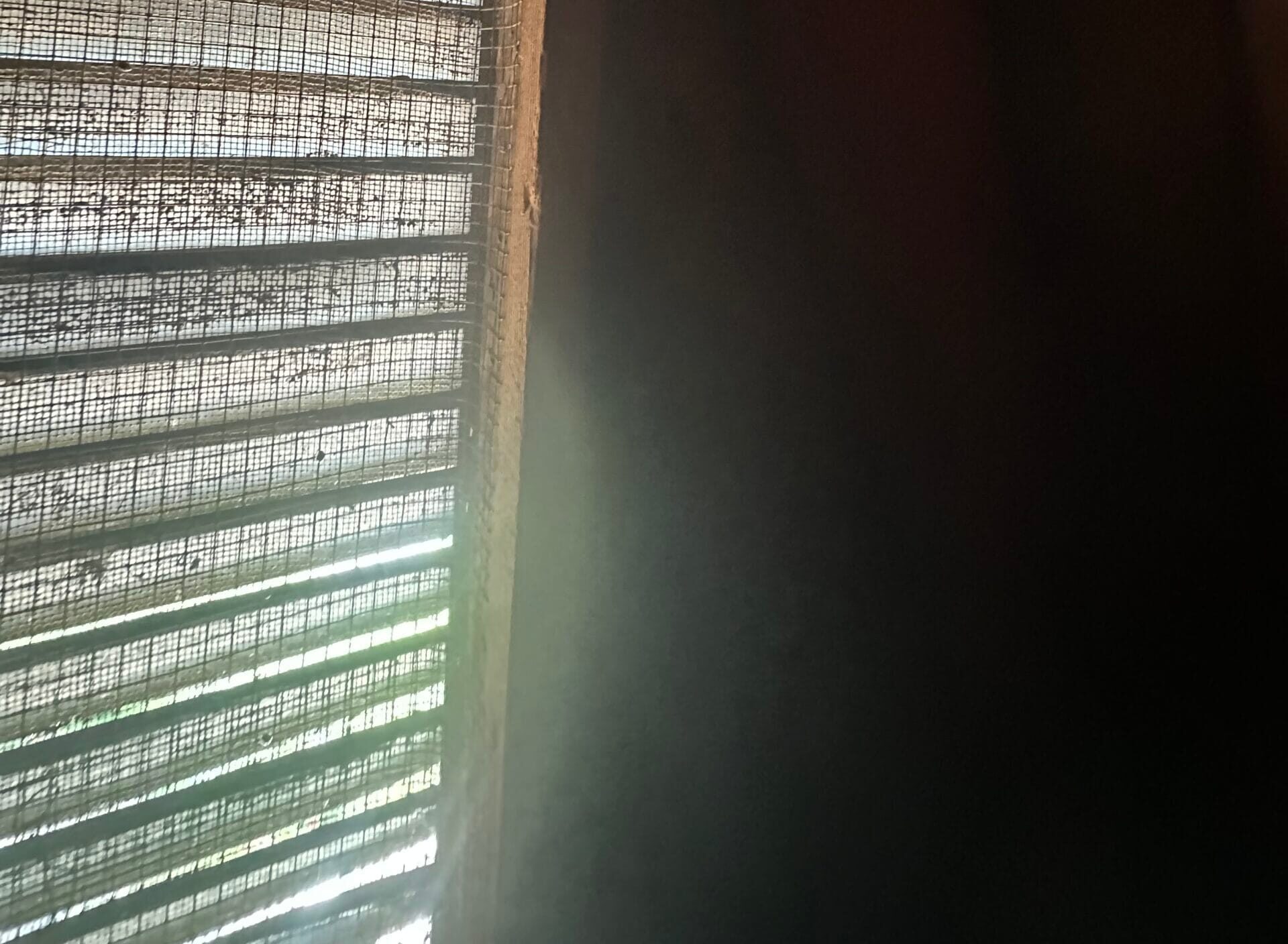The Role of Attic Ventilation