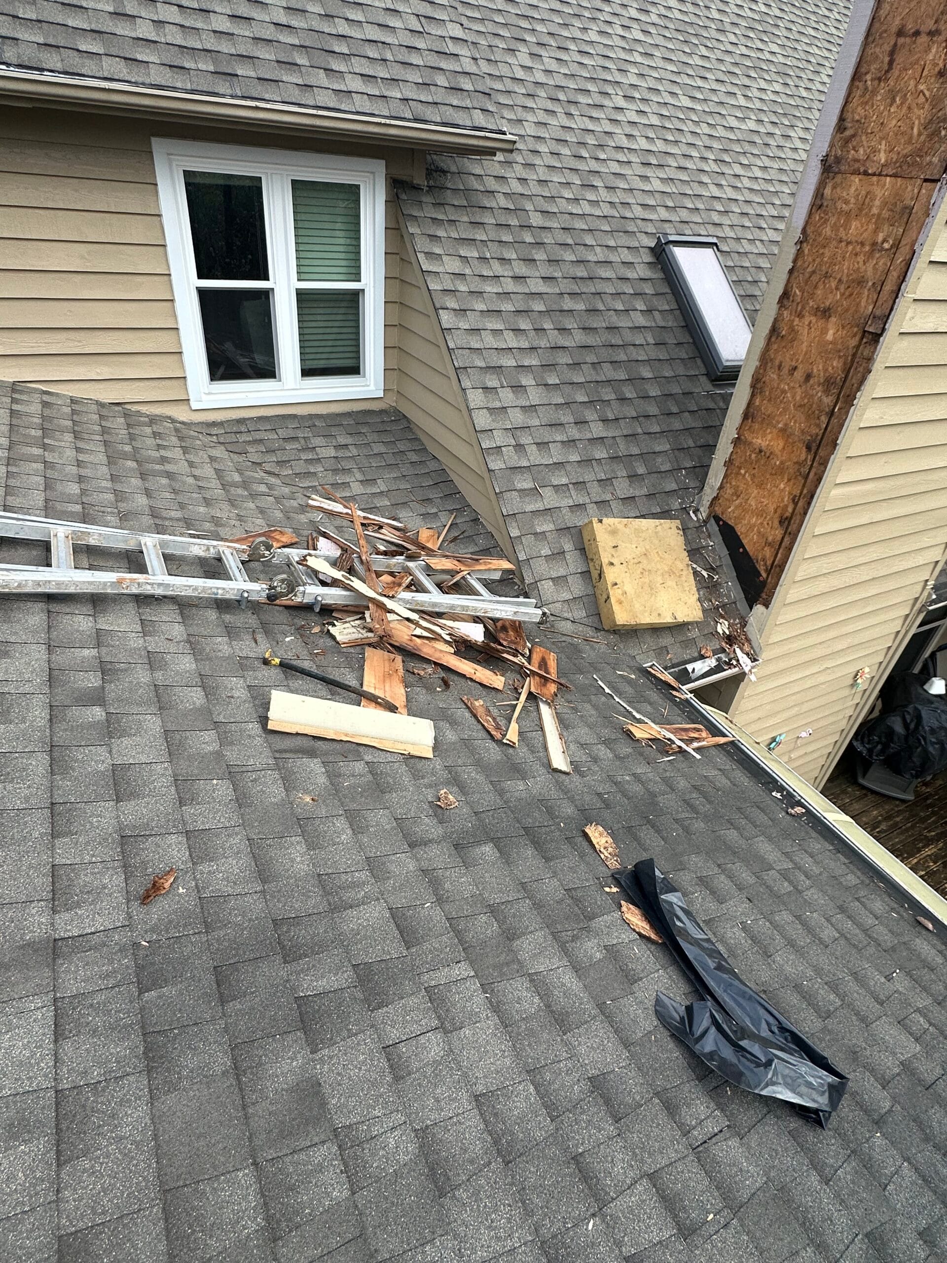 Roofing Services in Luttrell, TN
