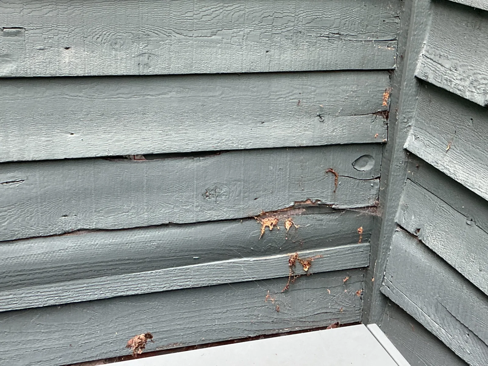 Schedule Your Free Siding Repair Estimate — Knoxville, TN