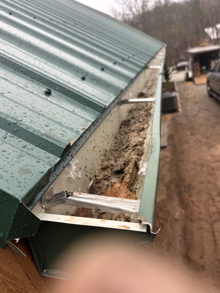 Green gutter packed with decomposed leaves and silt above a metal roof in Knoxville, TN