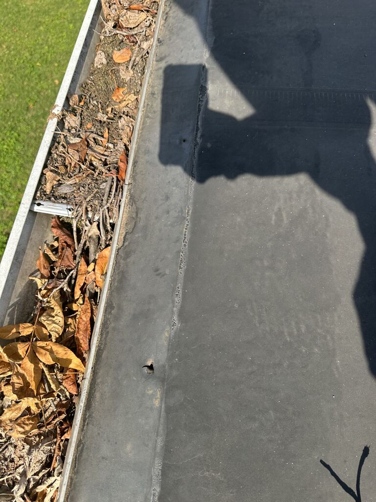 Leaves, twigs and silt packed inside a white gutter beside a flat roof in Knoxville, TN